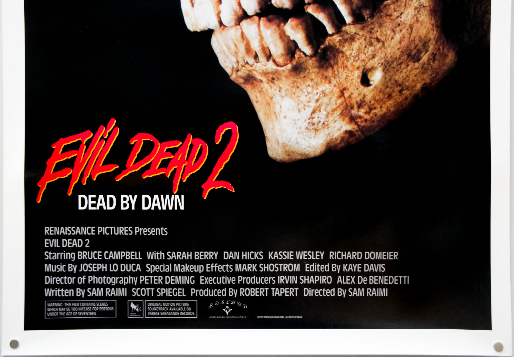 FilmScene - EVIL DEAD II: DEAD BY DAWN