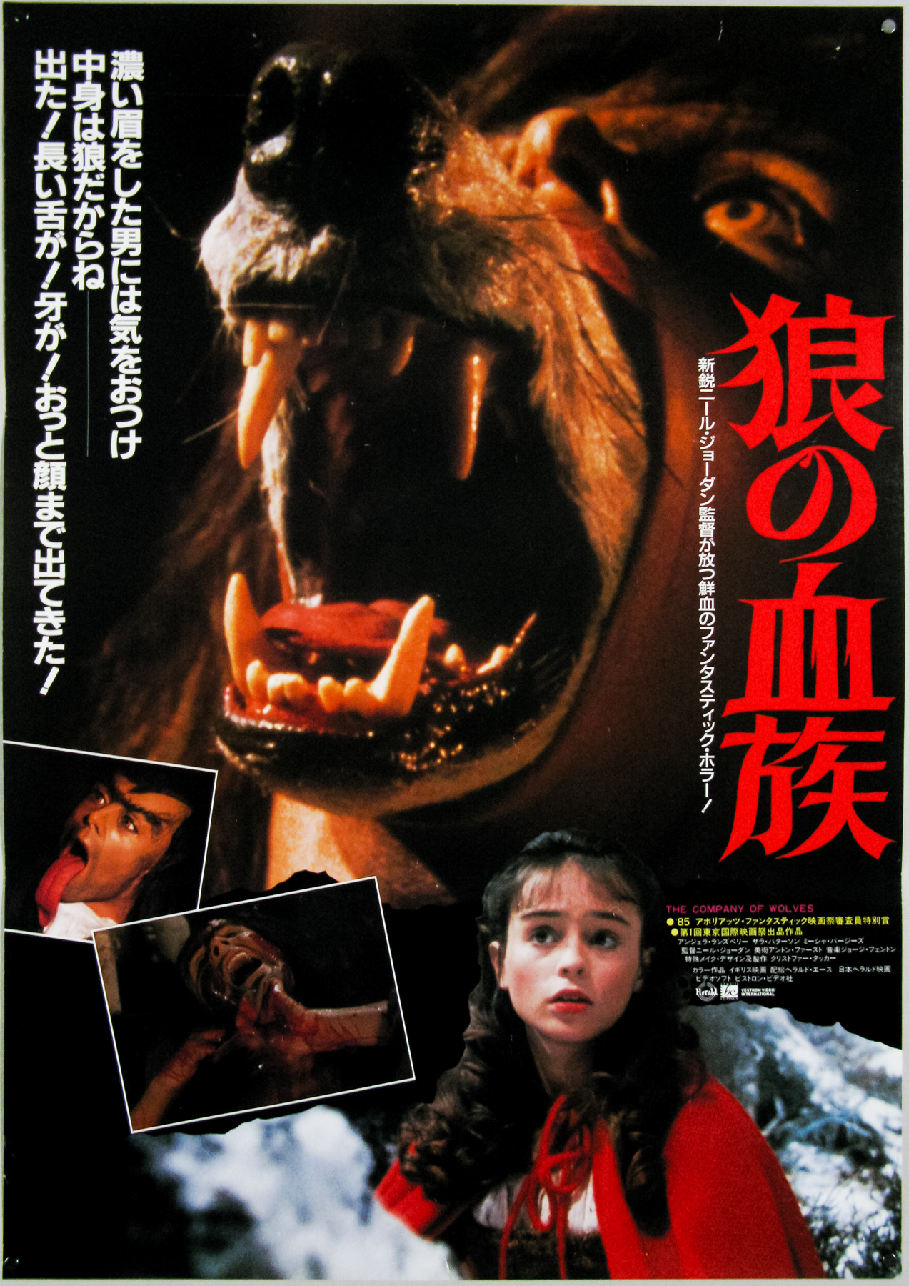 The Company Of Wolves / B2 / photo style / Japan