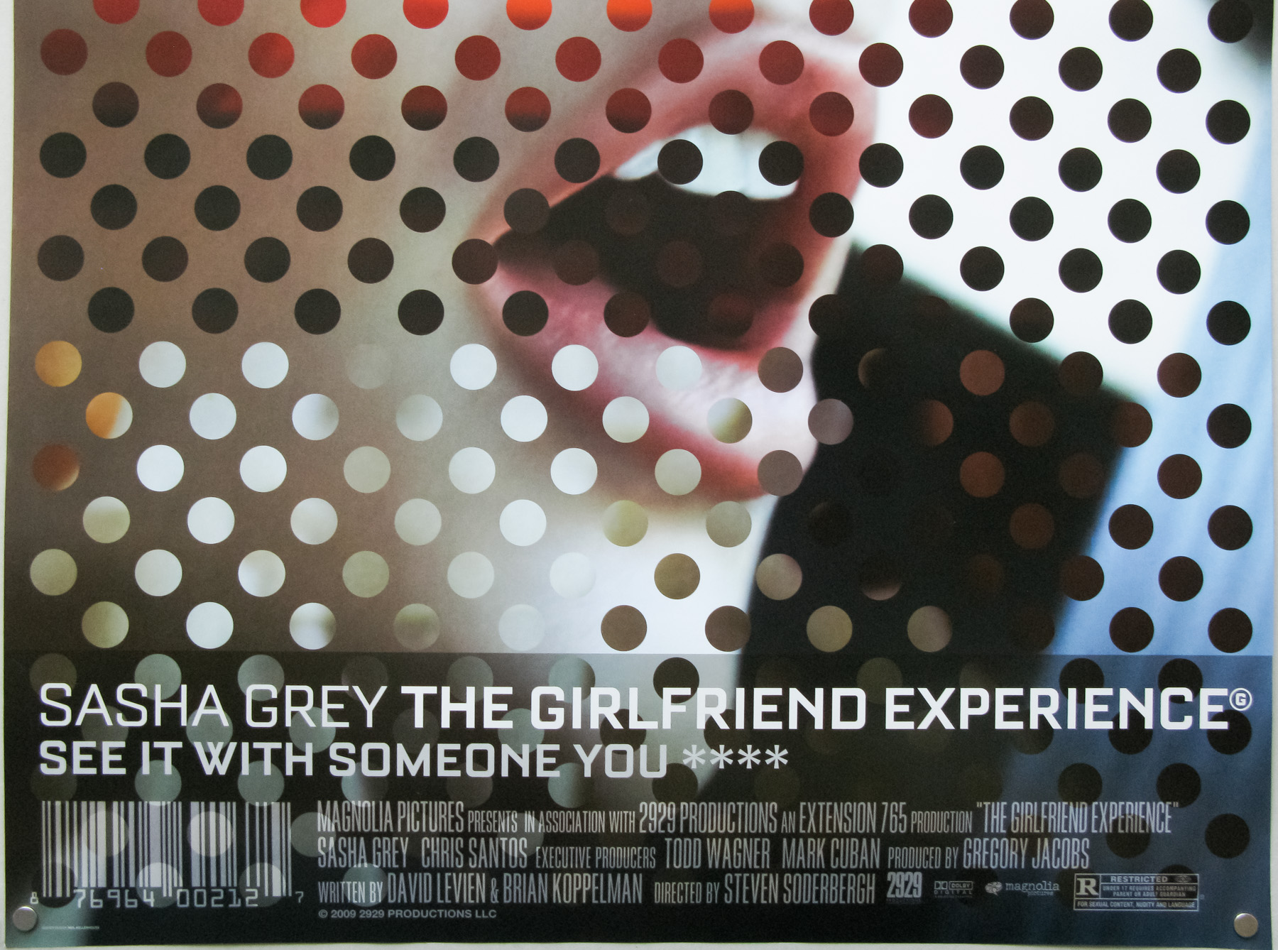 The Girlfriend Experience / one sheet / photo image